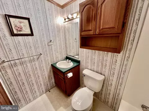 Bath - 16583 Laurel Rd, Laurel, DE 19956 photo 3 of 5