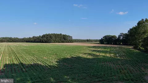 1 62 Acres Russell, Bridgeville, DE 19933