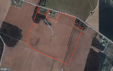 62 Acres Trussum Pond Rd, Laurel, DE 19956