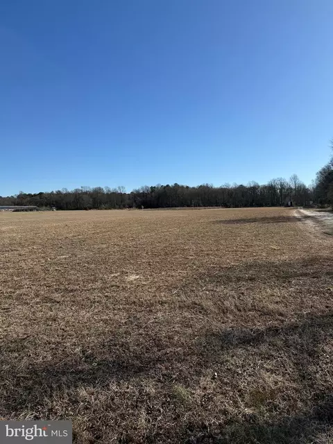 12393 Lot Apt 4 Taylor Mill Rd, Laurel, DE 19956