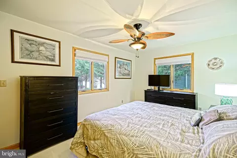 Bedroom - 30207 E Mill Run, Milton, DE 19968 photo 9 of 12