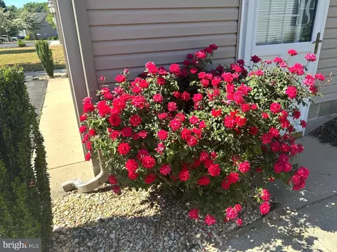 Other - 113 Meadow Dr, Seaford, DE 19973 photo 3 of 16