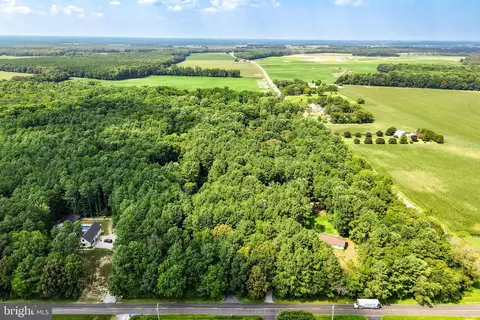 View/Area - 23761 Winding Way, Milton, DE 19968 photo 5 of 5