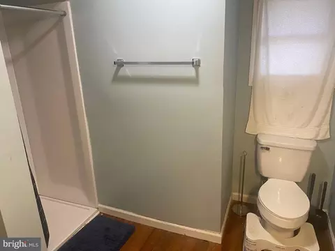 Bath - 161 Lakeside Dr, Laurel, DE 19956 photo 1 of 2