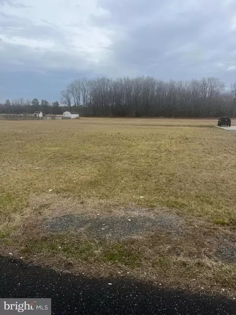 20229 W Piney Grove Rd, Georgetown, DE 19947