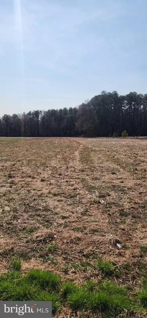 Other - lot1 Pepperbox Rd, Laurel, DE 19956 photo 5 of 6