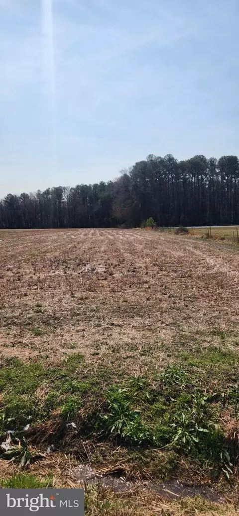 Other - lot1 Pepperbox Rd, Laurel, DE 19956 photo 4 of 6