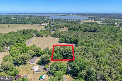 lot8 Holly Tree Rd, Millsboro, DE 19966