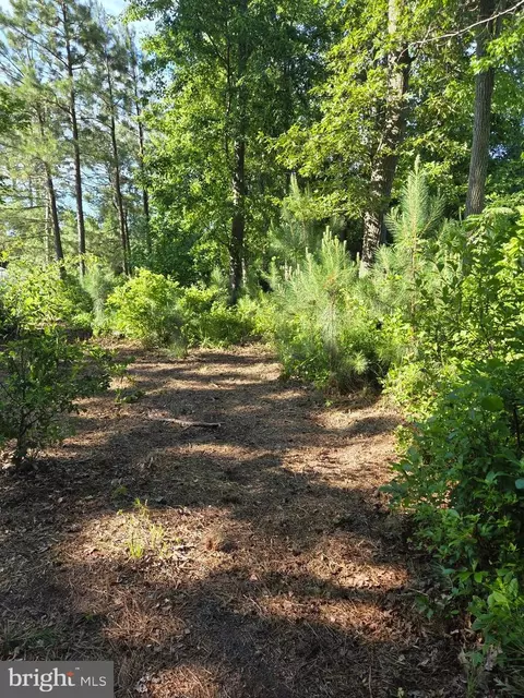 0 Parker House Rd, Ocean View, DE 19970