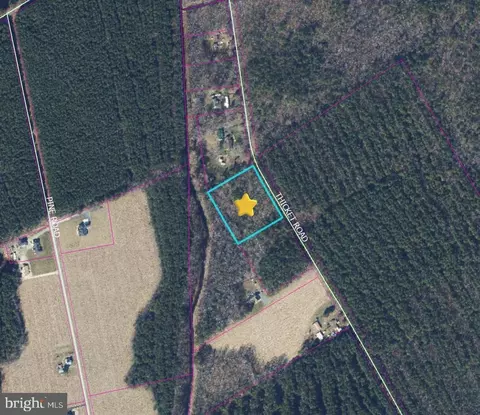 0 Thicket Rd, Milton, DE 19968 photo 2