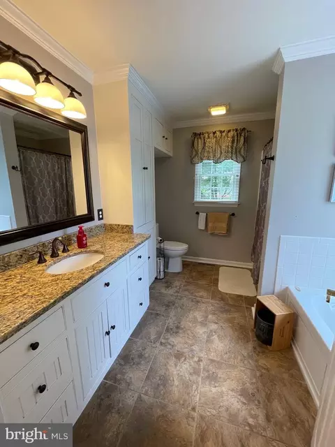 Bath - 413 Hudson St, Milton, DE 19968 photo 7 of 12