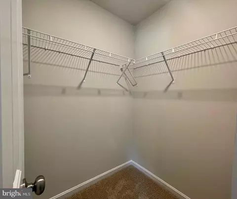 Entry Way - 104 Calypso Ln, Milton, DE 19968 photo 5 of 12