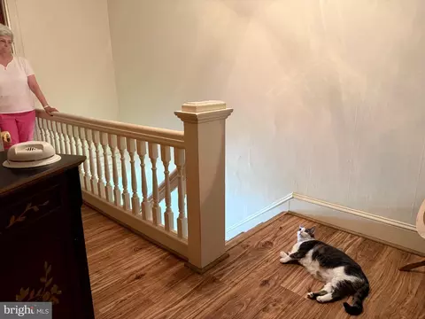Entry Way - 108 Brooklyn Ave, Laurel, DE 19956 photo 6 of 10