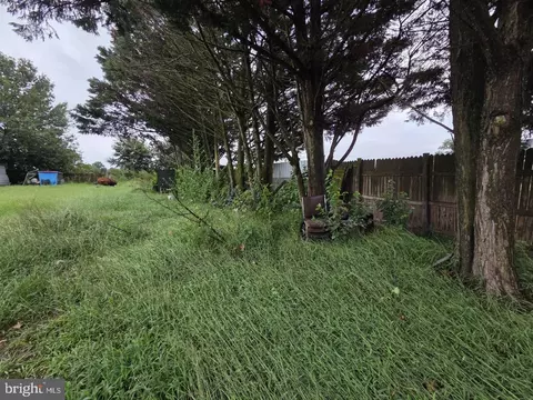 Other - 8344 Sharptown Rd, Laurel, DE 19956 photo 21 of 32
