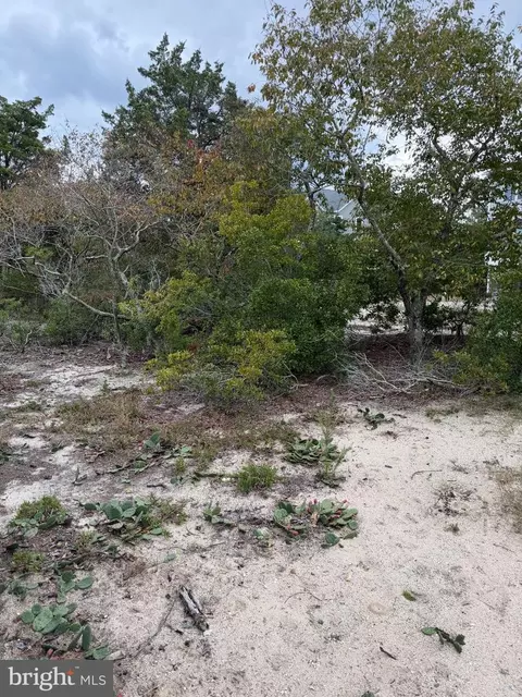 lot9 Pintail Ave, Milton, DE 19968
