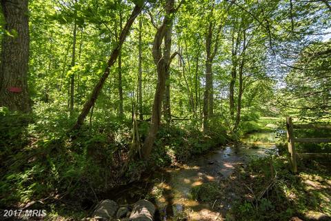 2624 Five Points Rd, Marshall, VA 20115 photo 1