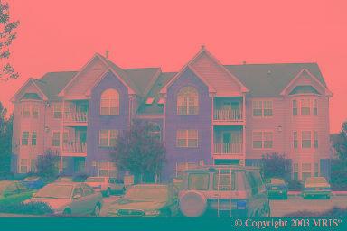 6101 Springwater Pl #1304, Frederick, MD 21701 photo 1