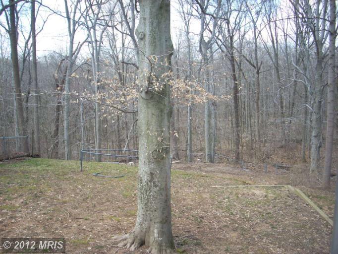 5500 Inverchapel Rd, Springfield, VA 22151 photo 1