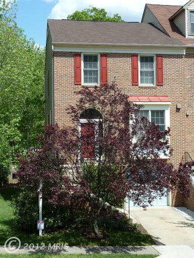 7201 Squirrel Run Ct, Springfield, VA 22152 photo 1
