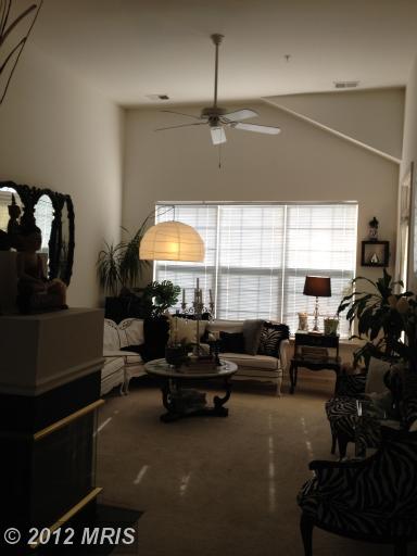 11400 Windleaf Ct #46, Reston, VA 20194 photo 1