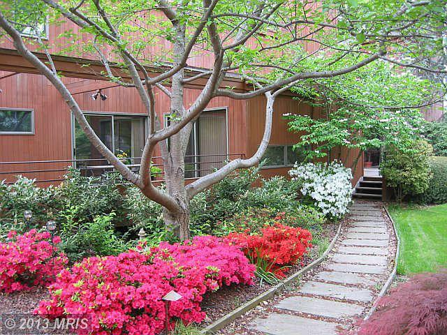 6872 Melrose Dr, Mc Lean, VA 22101 photo 1