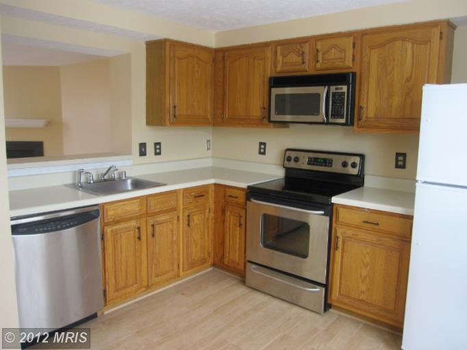 43990 Choptank Ter, Ashburn, VA 20147 photo 1