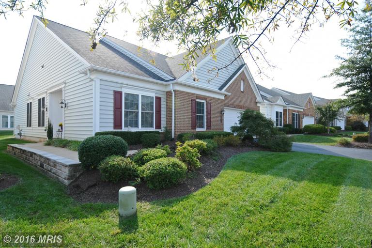 44465 Blueridge Meadows Dr, Ashburn, VA 20147 photo 1