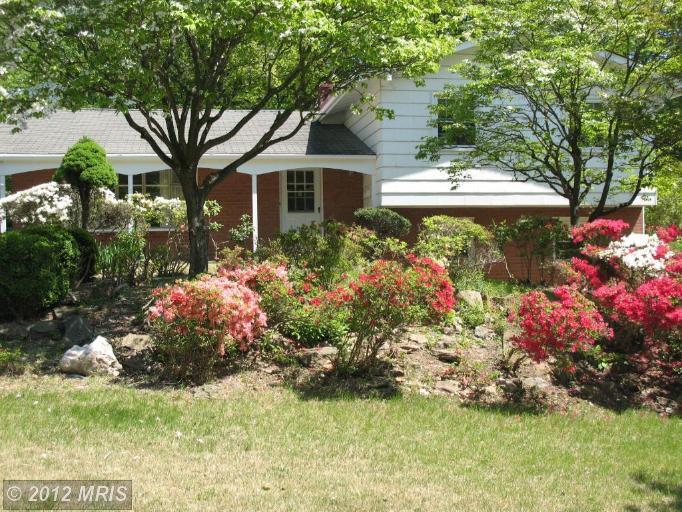 11707 Stonington Pl, Silver Spring, MD 20902 photo 1