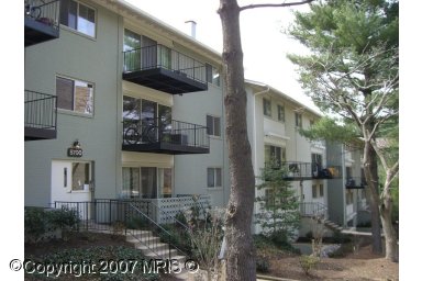 8700 Manchester Rd #5, Silver Spring, MD 20901 photo 1