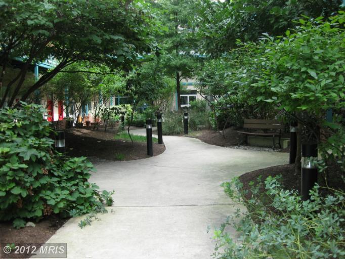 7981 Eastern Ave #316, Silver Spring, MD 20910 photo 1