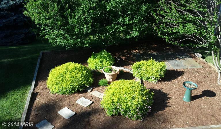 13301 Old Forge Rd, Silver Spring, MD 20904 photo 1