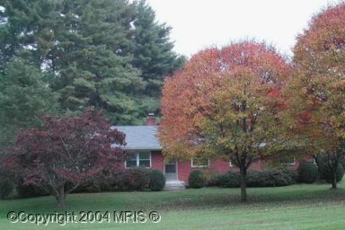 15427 Tierra Dr, Silver Spring, MD 20906 photo 1