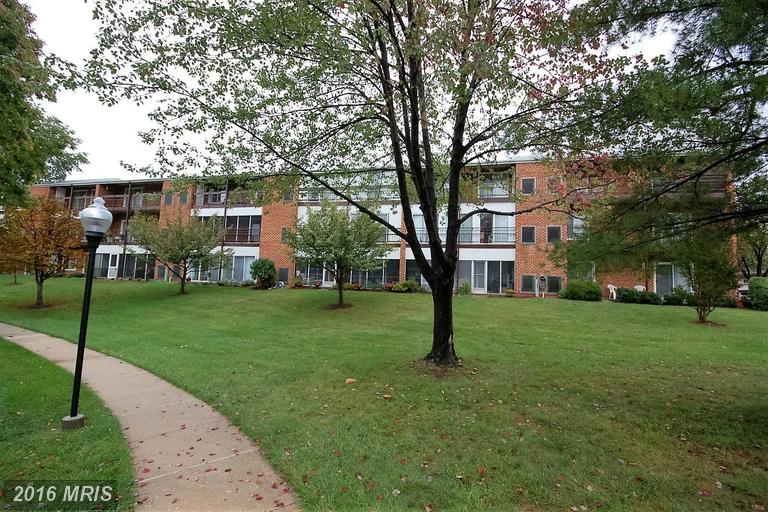 3501 Forest Edge Dr #14-1D, Silver Spring, MD 20906 photo 1