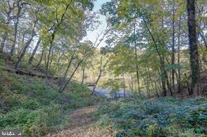 4 Bristol Dr, Annapolis, MD 21401 photo 48