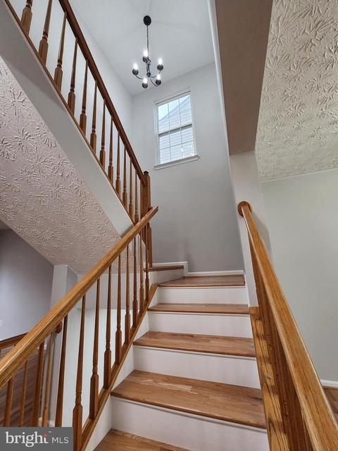 8302 Lyndhurst St, Laurel, MD 20724 photo 10