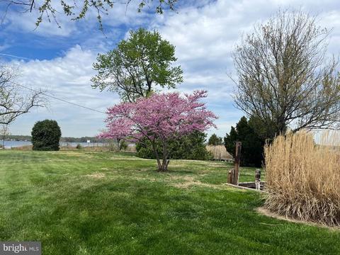 1100 Paca Dr, Edgewater, MD 21037 photo 13