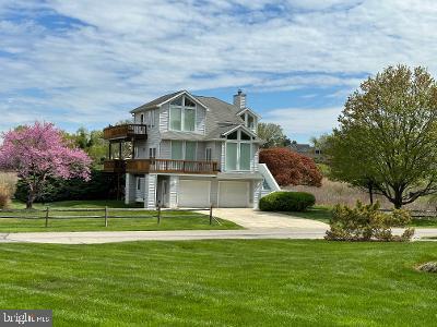1100 Paca Dr, Edgewater, MD 21037 photo 16