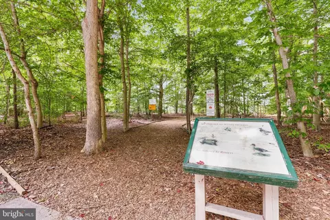 3012 Marsh Crossing Dr, Laurel, MD 20724 photo 51