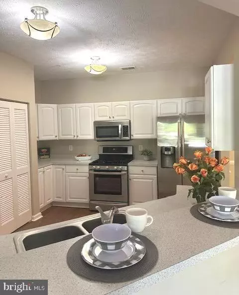 2498 Amber Orchard Ct E #203, Odenton, MD 21113