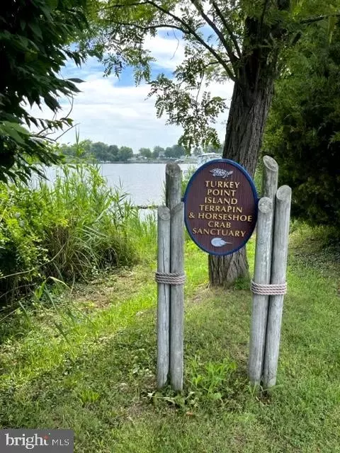 1215 Turkey Point Rd, Edgewater, MD 21037 photo 49