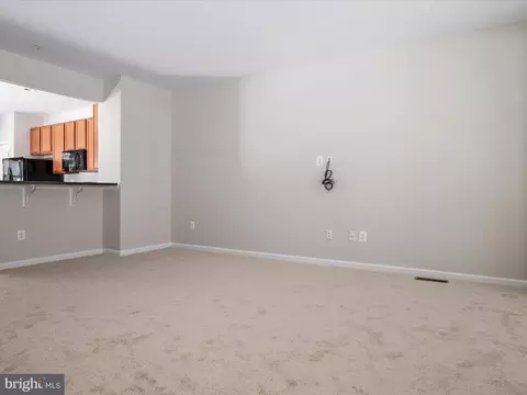 797 Grape Vine Loop, Brooklyn, MD 21225 photo 9