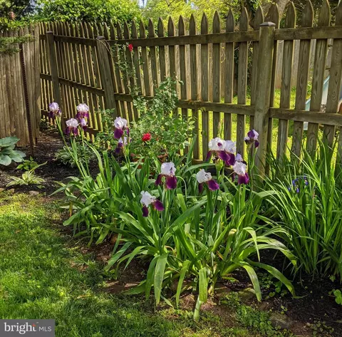 Exterior - 3563 Oak Dr, Edgewater, MD 21037 photo 16 of 17