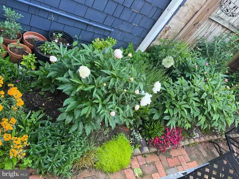 Exterior - 104 Charles St, Annapolis, MD 21401 photo 5 of 7