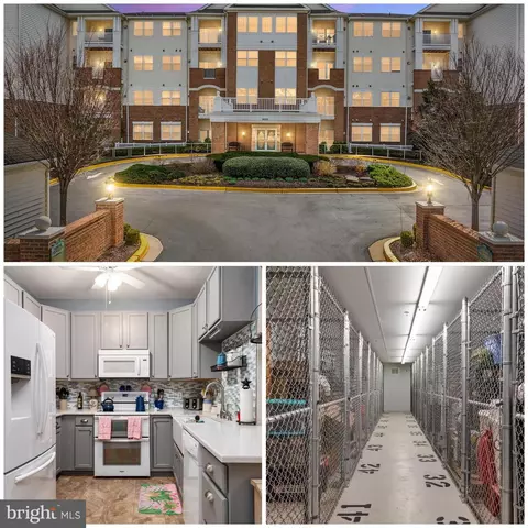 2605 Chapel Lake Dr #213, Gambrills, MD 21054