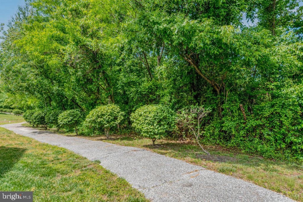 7925 Bertie Ct #7, Pasadena, MD 21122 photo 28