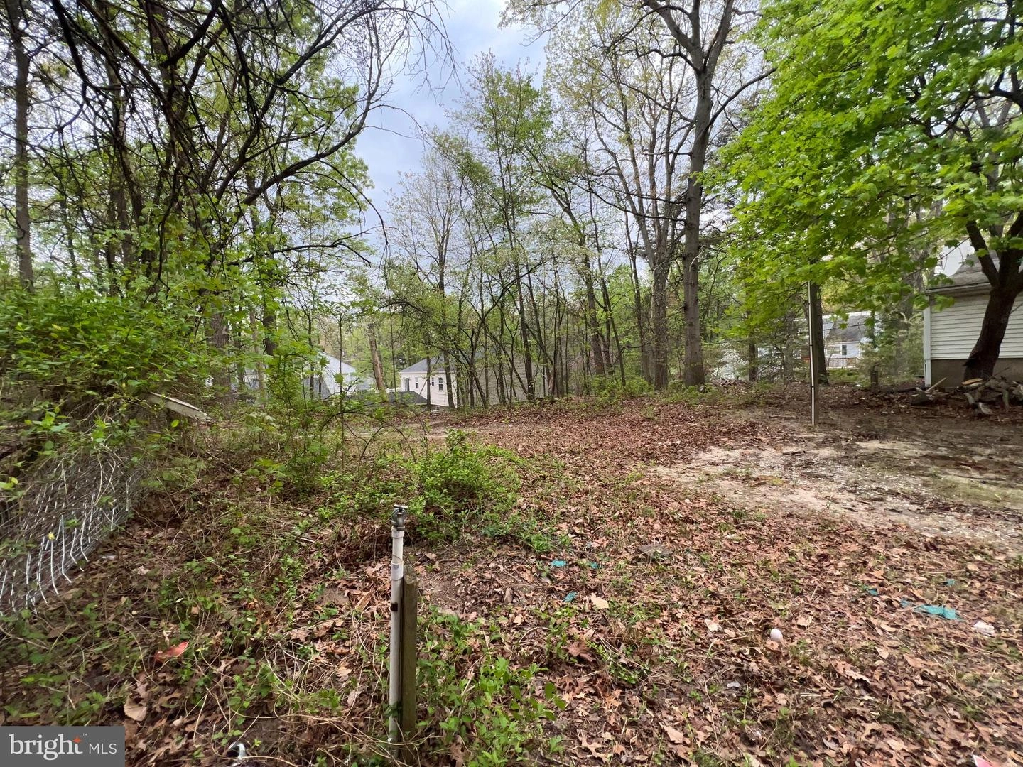 View/Area - 1834 Cedar Dr, Severn, MD 21144 photo 2 of 2