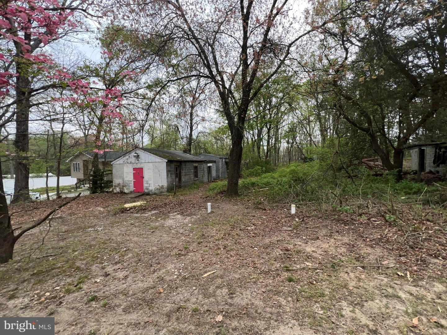 Exterior - 1834 Cedar Dr, Severn, MD 21144 photo 3 of 18