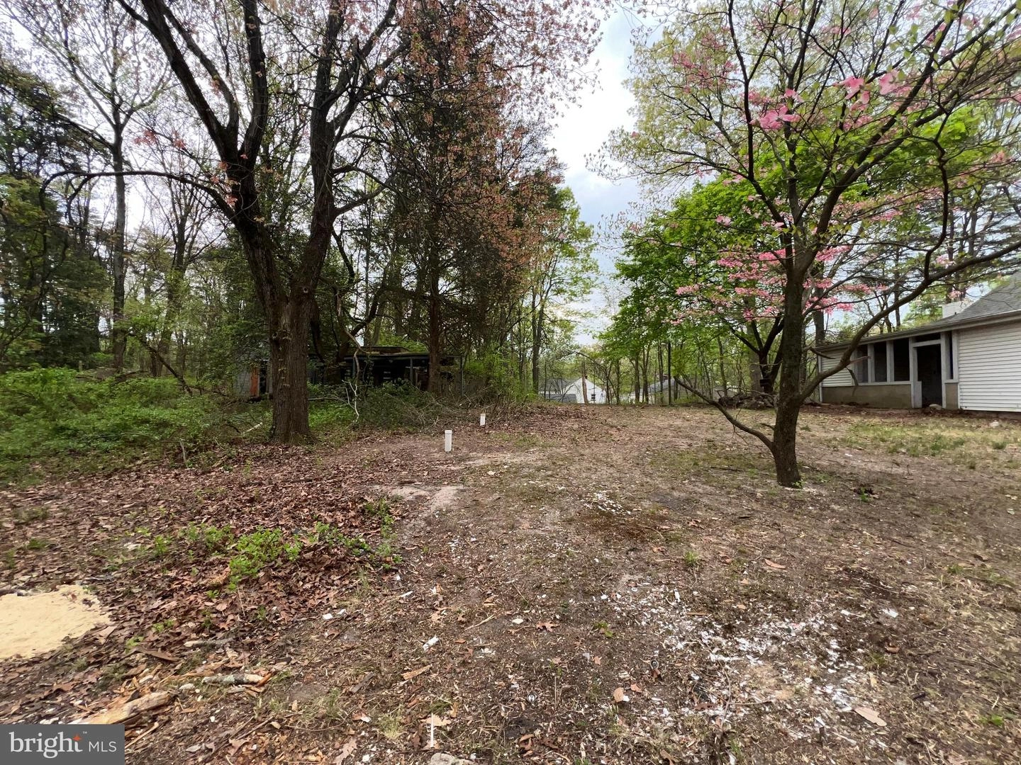 View/Area - 1834 Cedar Dr, Severn, MD 21144 photo 1 of 2