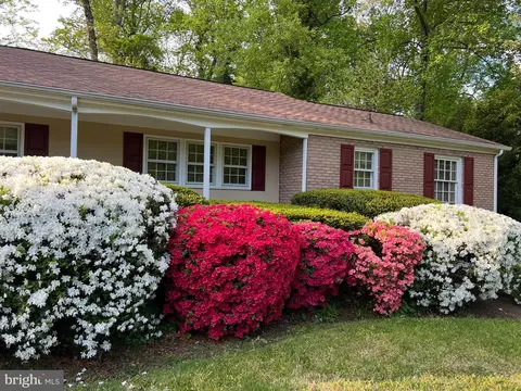 Exterior - 1037 Placid Ct, Arnold, MD 21012 photo 10 of 14