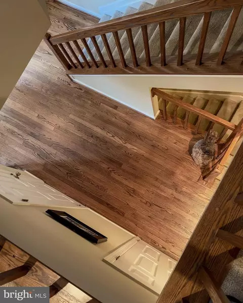 Entry Way - 136 Spring Place Way, Annapolis, MD 21401 photo 6 of 12
